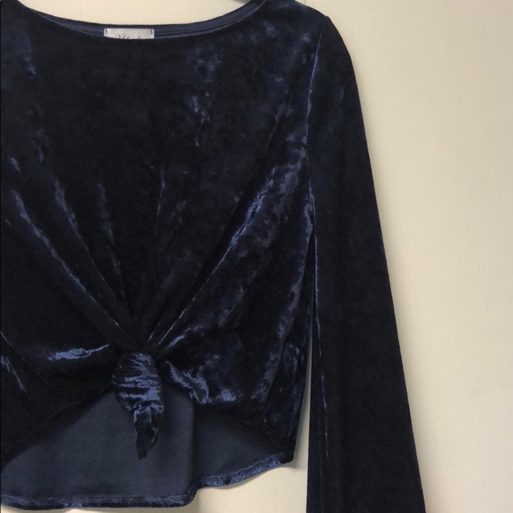 Blue Velvet, scoop neckline, wide sleeved top.